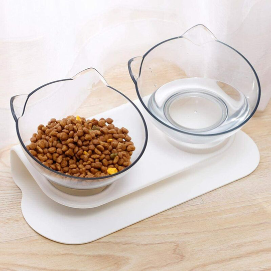 Litzee - Cat Bowl with Raised Stand, 15? Sloping Platform, Removable, Anti-Spill, Watering Bowl for Cats and Small Dogs (Double Clear Bowls)