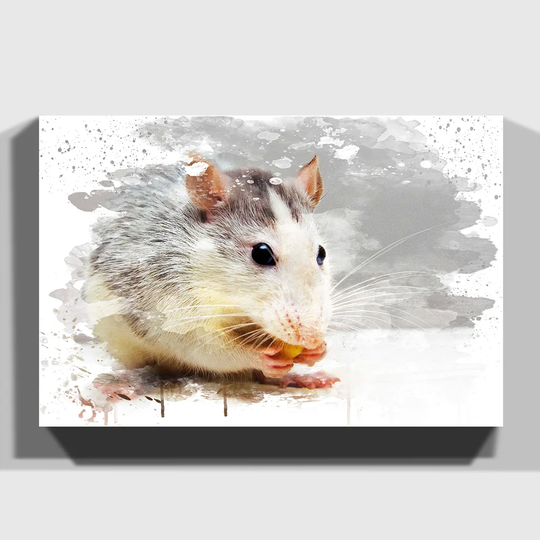 'White and Grey Rat' Graphic Art Print on Canvas