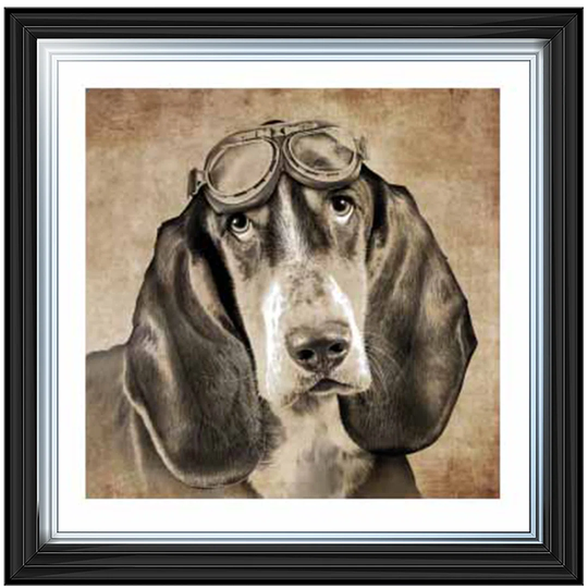 Puppy Eyes - Picture Frame Graphic Art