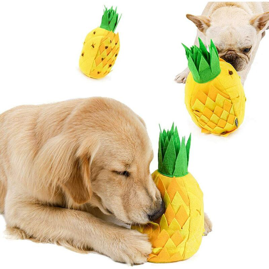 Briday - Dog Snuffle Mat Dog Sniffing Mat, Feeding Mat Sniffing Carpet Sniffing Carpet Dog Play Mat Feeding Mat Training Carpet Dog Sniffing Mat
