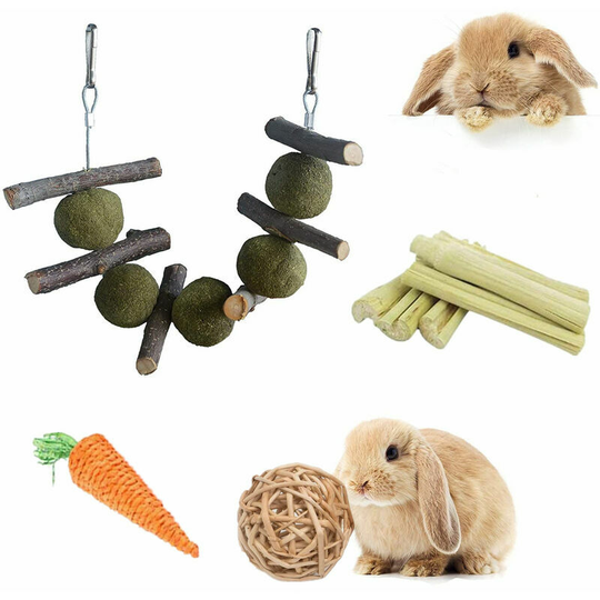 Rabbit apple sticks, a bunch of rabbit chew toys, guinea pig snacks and pet food