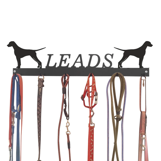 Amadahy Wall Mounted Coat Rack