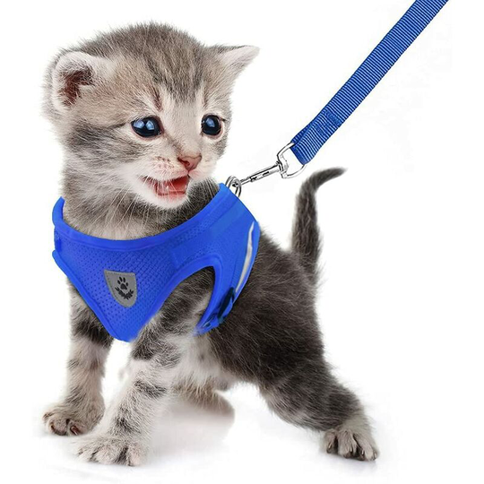 Dog Harness and Leash, Soft Mesh Padded Harness Set for Puppy Cats, Breathable Jacket, Adjustable