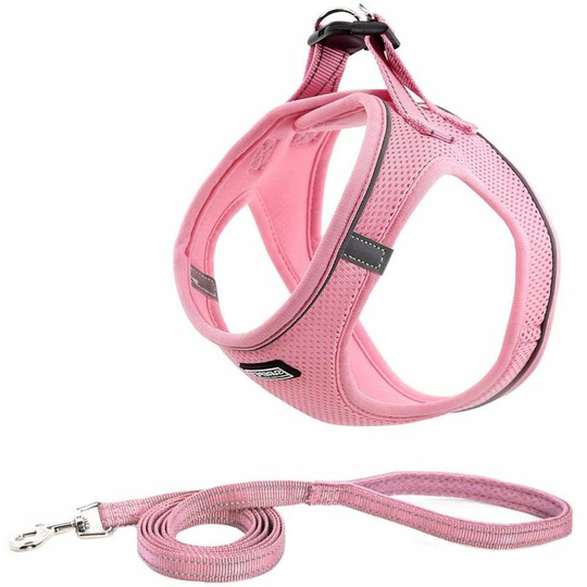 Breathable Reflective Dog Harness with Leash, Step-in Dog Harness Cats, Padded Vest Mesh Comfort Sweet For Small Dogs To Walk, Running, Training (M,