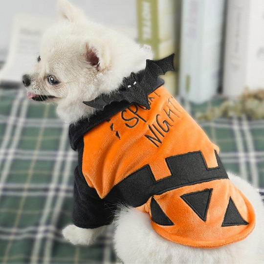 Perle Rare - Halloween Pet Clothes, Dress Up With Bat Pet Cat Costume Cosplay Party Christmas Cute Cat Dog Halloween Pumpkin Costumes Sweater with