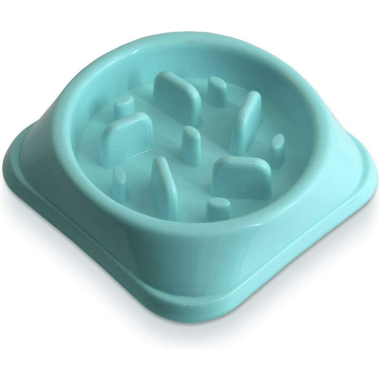 Dog bowls, slow bowls, interactive puzzles, healthy bowls