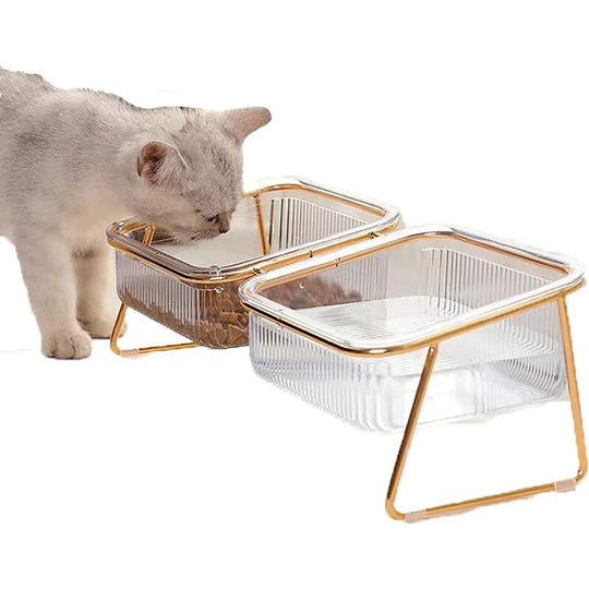 Double Cat Bowl with Raised Support, 15° Tilt, Non-Slip, Transparent, for Food and Water, Detachable Bowl for Cats and Small Dogs