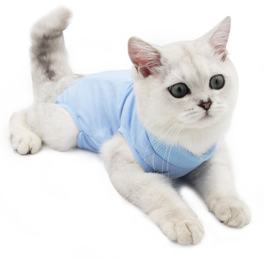 Cat Professional Restoration Suitable for abdominal collar wounds or skin diseases, alternative