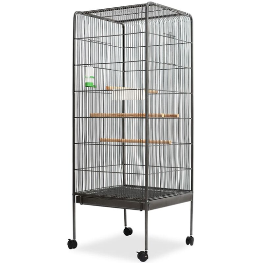 Bird Cage Black 54x54x146 cm Steel - Black