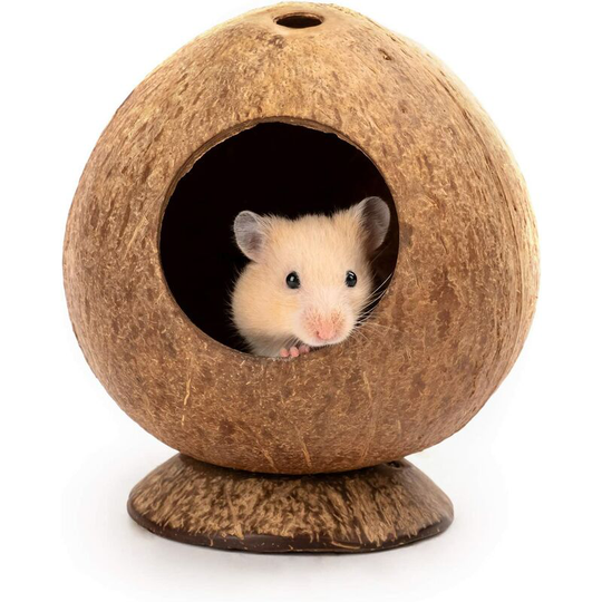 Coconut Hamster House Bed: Gerbil Small Animal Cage Habitat Decoration 1 Piece