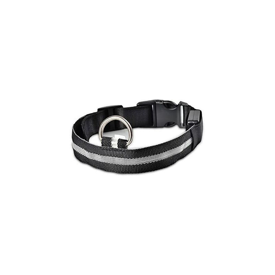 For dog Pet Supplies Dog collar led collar Pet Supplies white xl