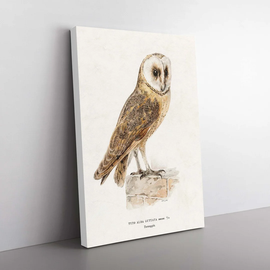 Perched Owl by Von Wright - Wrapped Canvas Painting