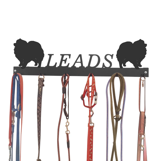 Allegany Wall Mounted Coat Rack