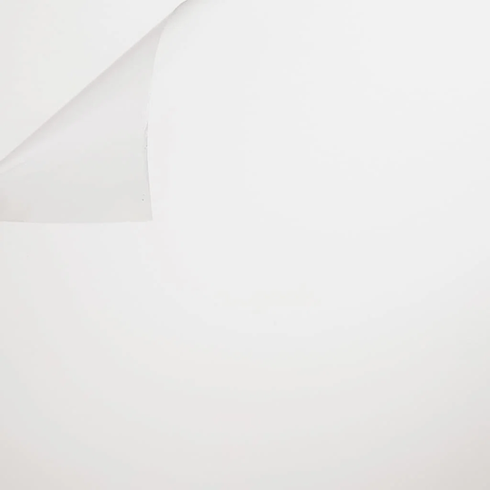 Window Decal