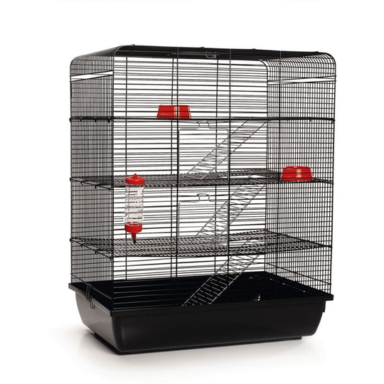 Rat Cage Remy Black 58x38x71 cm 266815 Beeztees Black