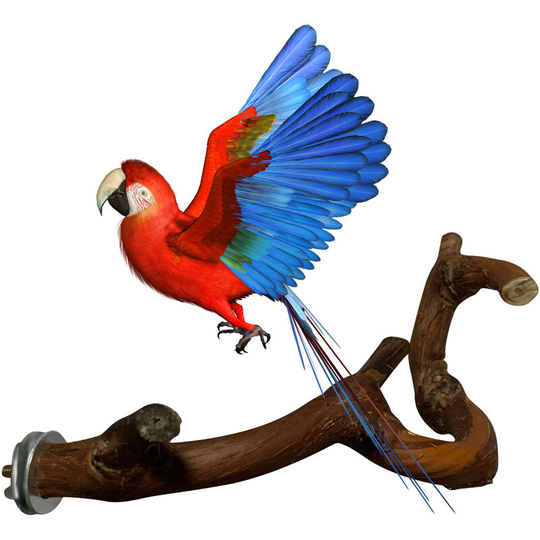 Bird Perch Stand Bird Training Stand Bird Playstand Bird Cage Toys