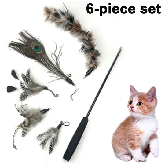 Pet Fit For Life Worms Teaser and Exerciser for Cat and Kitten - Cat Toy Interactive Cat Wand, black