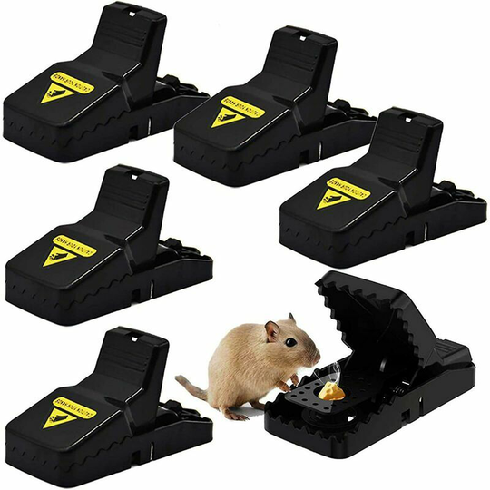 Echoo - Mousetrap, set of 6 professional mousetraps, mousetraps, reusable mousetraps, professional mousetraps in the home and garden