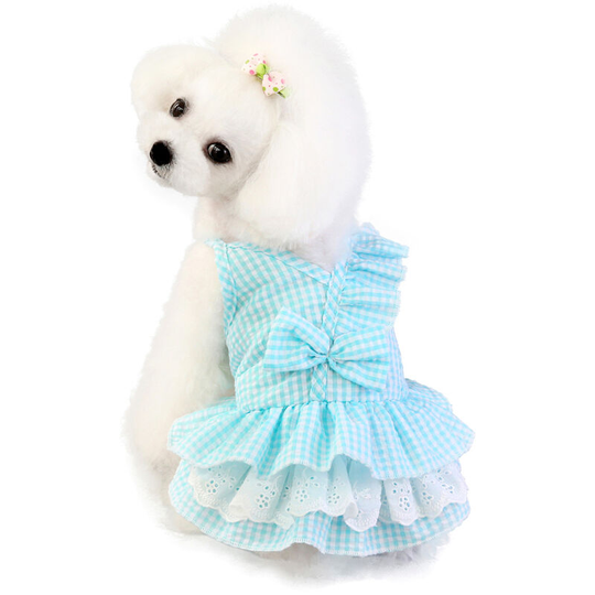 Fashion small puppy dress puppy wiffit clothes bow skirt cotton spring and summer birthday gift (s, blue)