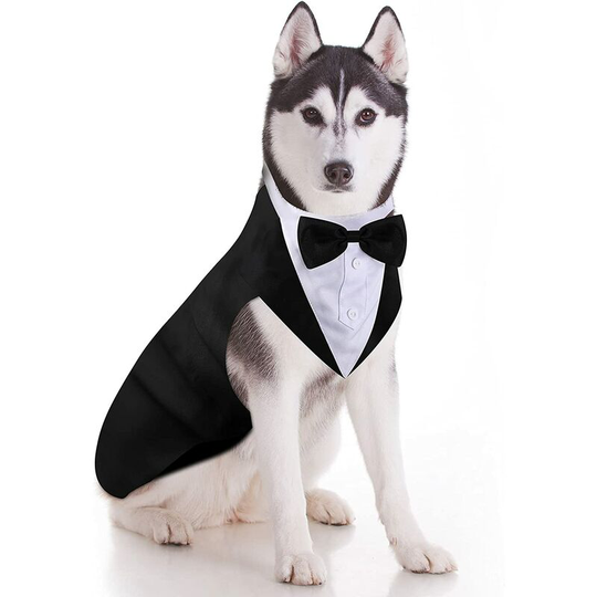 Christmas Dogs Costume Christmas Clothes Christmas Clothes Pet Clothes Xmas Dog Costume Deer Case for Pet Cat Accessories (l)