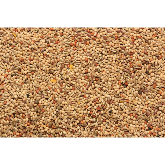 SkyGold Gourmet Canary Cage & Aviary Seed Mix 20Kg