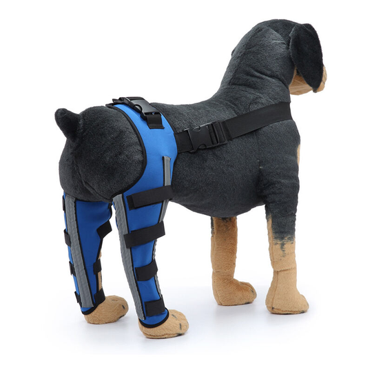 Double Back Leg Protection Dog Knee Brace for Acl Knee Brace Dislocation Arthritis Keep Joint Warm Extra Support Blue (s)