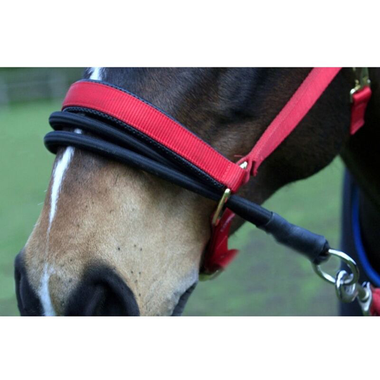 Ezyloader Horse Head Collar Adapter (One Size) (Black) - Black - Sundry