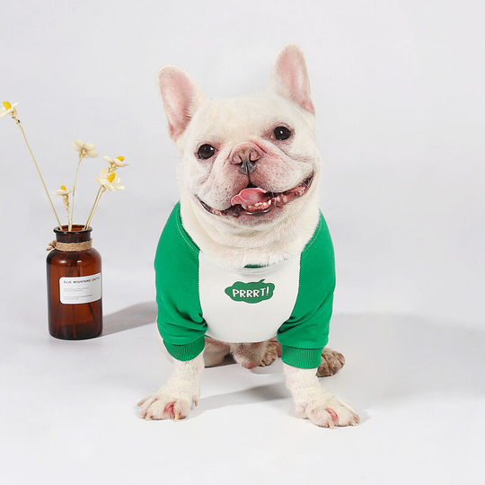 Green Autumn thin patchwork two-color pug Corgi pet costume sweater for large and small dogs and cats puppies soft and cute casual and comfortable