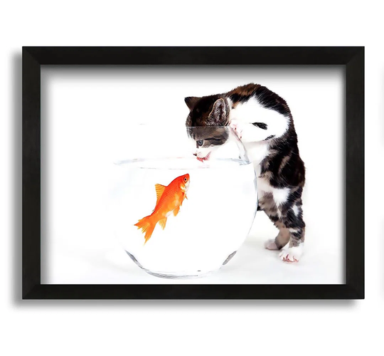 Kitten Vs Fish - Picture Frame Photograph on Canvas