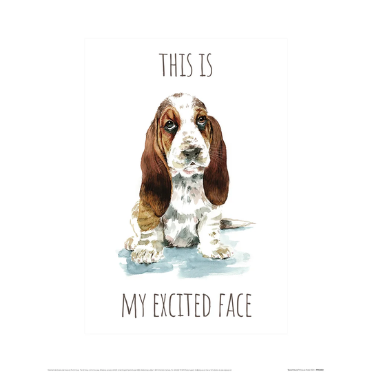 Basset Hound by - Unframed Art Prints