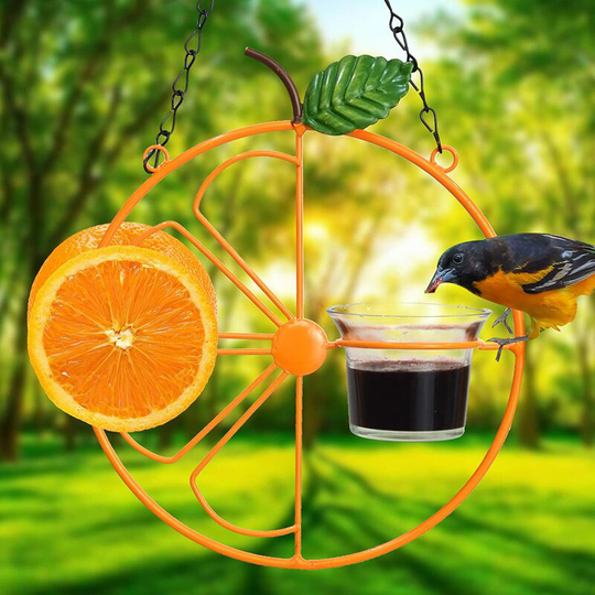 Oriole Bird Feeder, 17 inch Hanging Metal Bird Feeder,Detached Bowl Design,Orange Fruit Feeder,Great for Garden,Outdoor,Gift