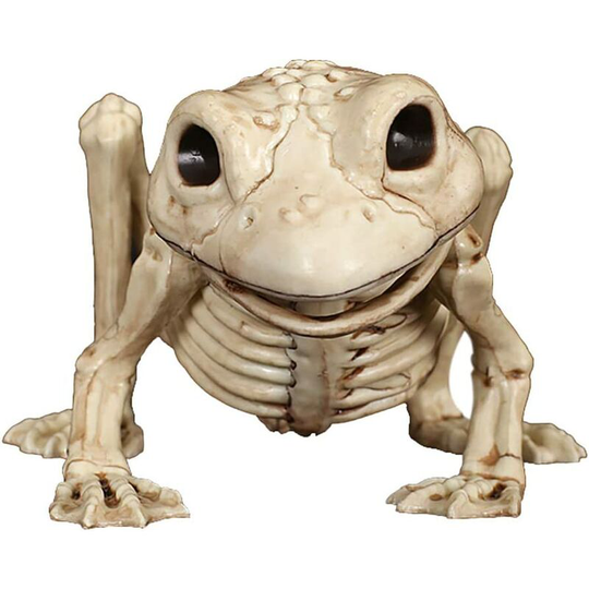 Monly - Queenbox 3D Animal Skull Halloween Ornament Prop Unique Bones Simulated Skeleton Model for Home Office Decorative Display Craft Box Hunting