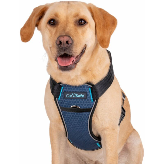 Carsafe Crash Tested Dog Harness - Medium Black