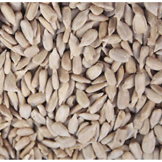 10kg sunflower hearts bird food