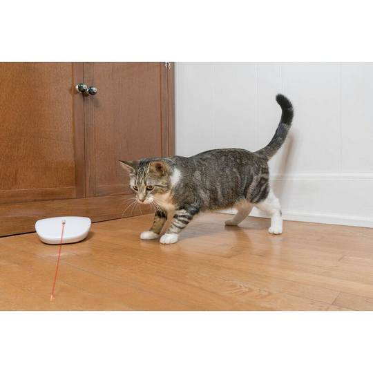 Petsafe - Laser Tail Automatic Laser Light Cat Toy - White