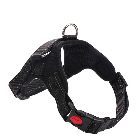 Perle Rare - No-Pull Dog Harness, Adjustable Breathable Comfort, Free Leash Included, for Small Medium and Large Dogs, Ideal for Training and Walking
