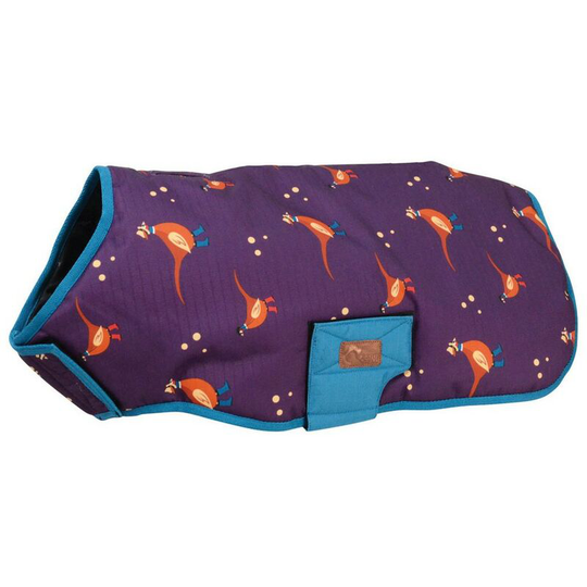 Patrick The Pheasant Dog Coat (3XS) (Multicoloured) - Multicoloured - Benji&flo