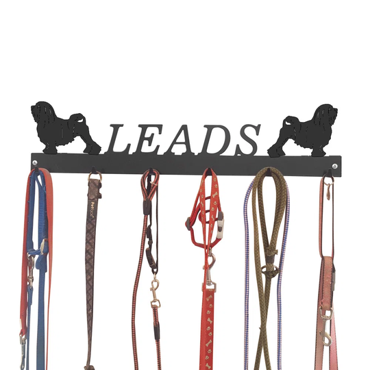 Alyth Wall Mounted Coat Rack