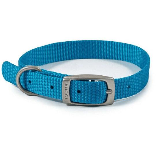 Nylon Dog Collar (26cm - 31cm) (Blue) - Blue - Ancol