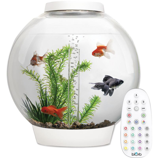 Biorb - Classic 30L Aquarium in White with mcr led Lighting