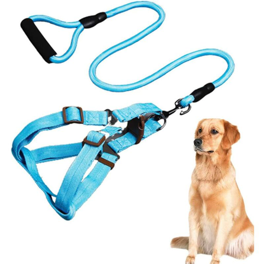 Modou - Dog Leash Dog Leash Retractable Leash Dog Collar Kitten Collar Car Harness Dog Safety Belt Dog Lead Lanyard for Puppy Blue,37