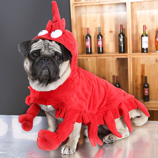 Dog lobster costume Teddy Pug Halloween clothes red role play pet clothes (m)