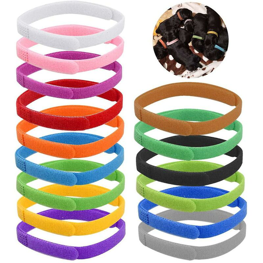 15pcs Assorted Colors Puppy Kitten Identification Collar,, - Thsinde