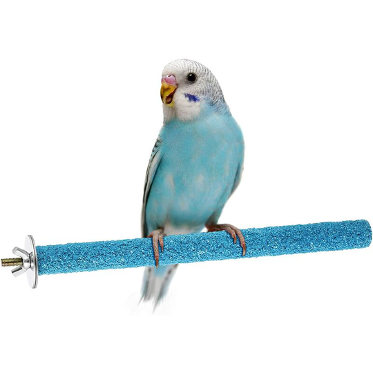 Betterlifegb - Stand for Bird Parakeeper Perches Bird Support Stickers Interactive Perches for Bird Cage for Parrot Cockatiel for Cage Training,