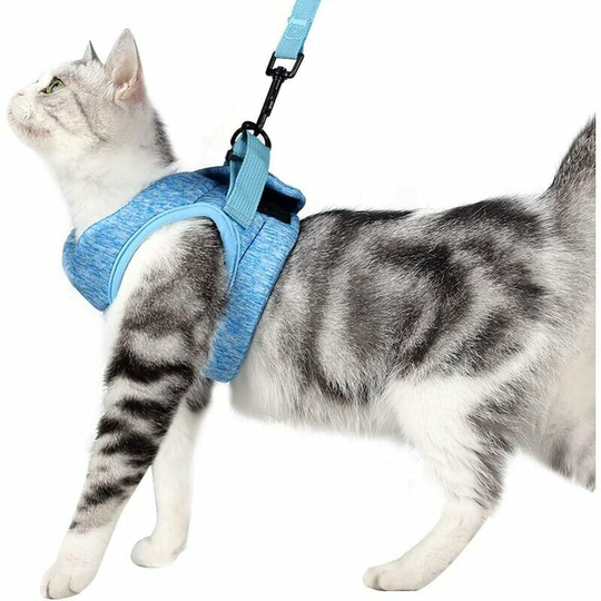 Cat Harness and Leash, Ultralight Kitten Collar, Soft and Comfortable Leak-Proof Walking Jacket Suitable for Rabbit Puppies (Blue, m)