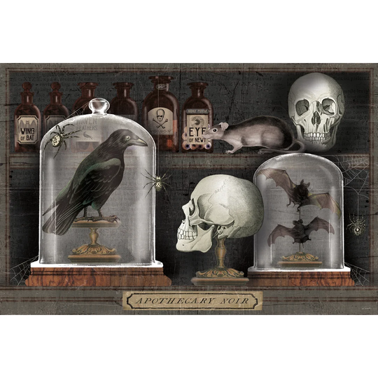 Apothecary Noir V - Wrapped Canvas Art Print