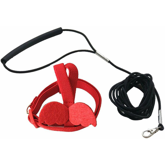 Thsidne Long Cable Bird Harness Decorative Lightweight Parakeet Parrot Vest Rope For Bird Red m