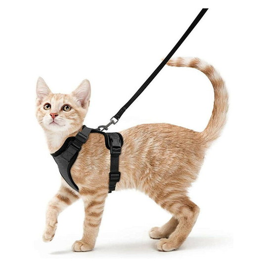 Perle Rare - Cat Harness with Leash, Breathable Kitten Harness and Reflective Strip Adjustable Small Dog Vest Black l Easy to Put Pet Collar for