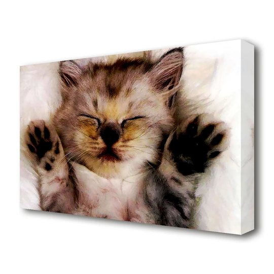 'Kitten Love Wildlife' - Wrapped Canvas Painting Print