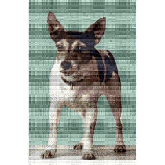 Jack Russell Terrier Dog puppy Counted Cross Stitch Kit 12" x 8"